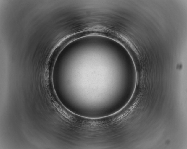 X0000101170923200806271030