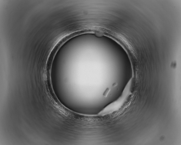X0000101170924200806271030