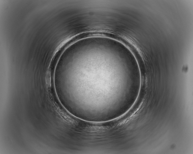 X0000101170925200806271030