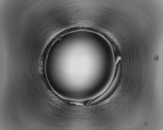 X0000101170926200806271030