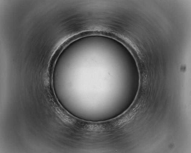 X0000101170927200806271030