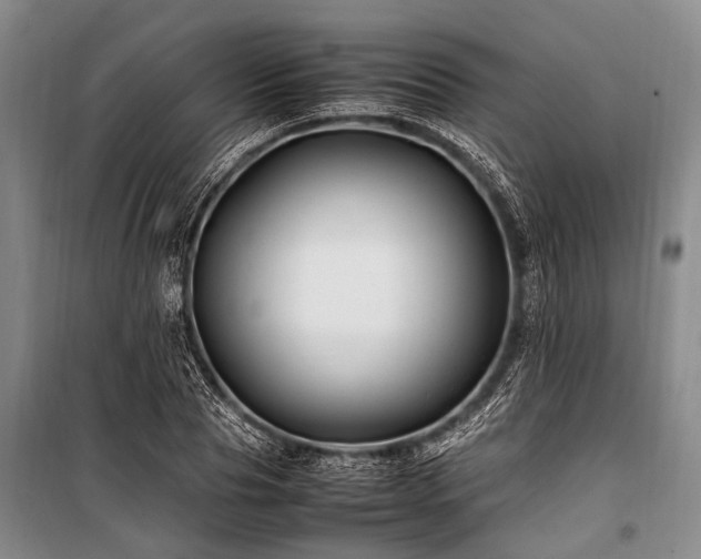 X0000101170929200806271030