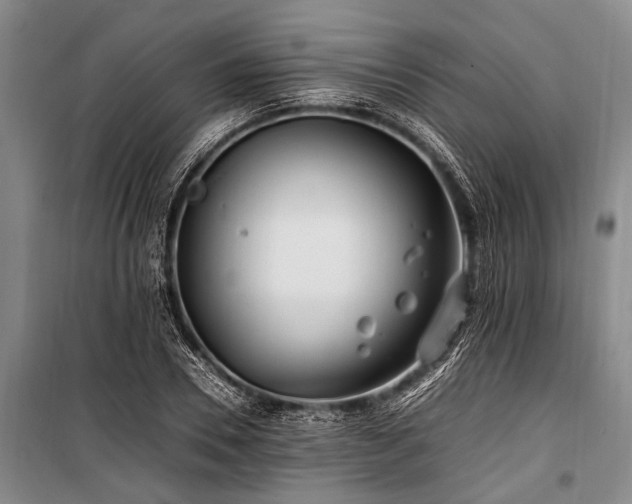 X0000101170930200806271030