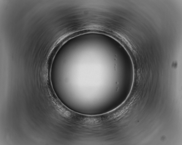 X0000101170931200806271031