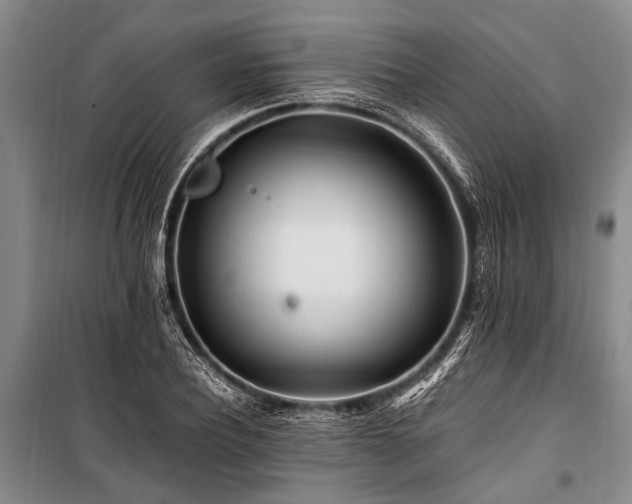 X0000101170932200806271031