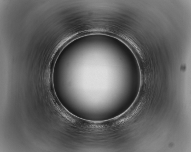 X0000101170933200806271031