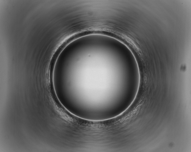 X0000101170934200806271031