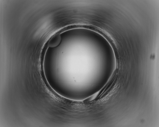 X0000101170935200806271031