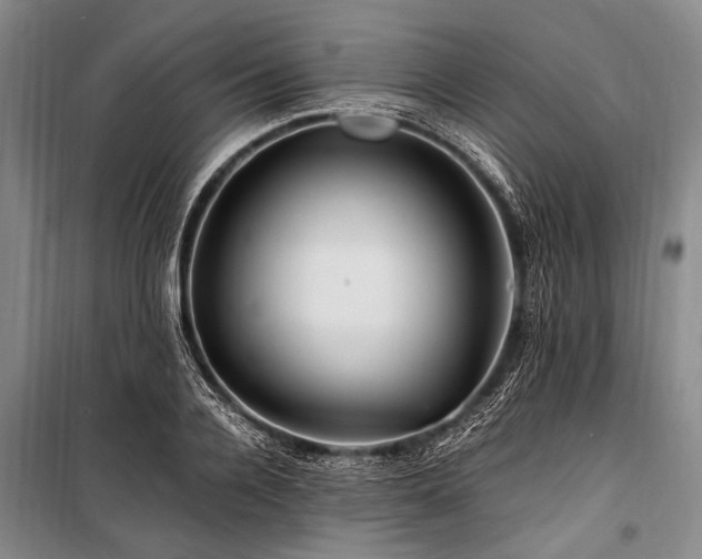 X0000101170936200806271031