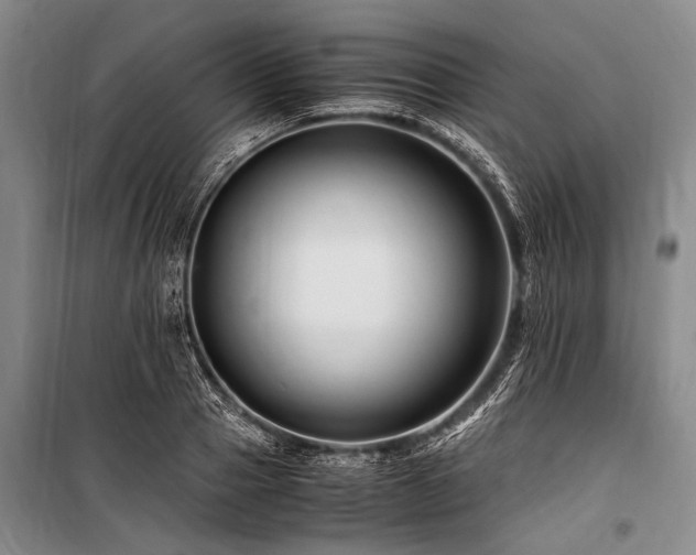 X0000101170937200806271031