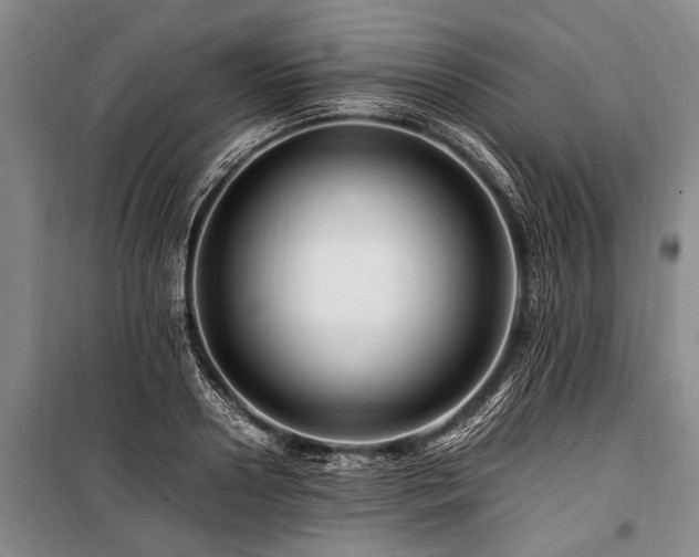 X0000101170938200806271031