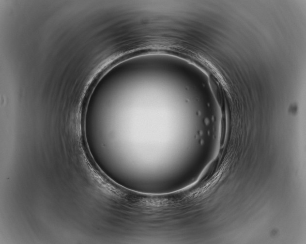 X0000101170939200806271031