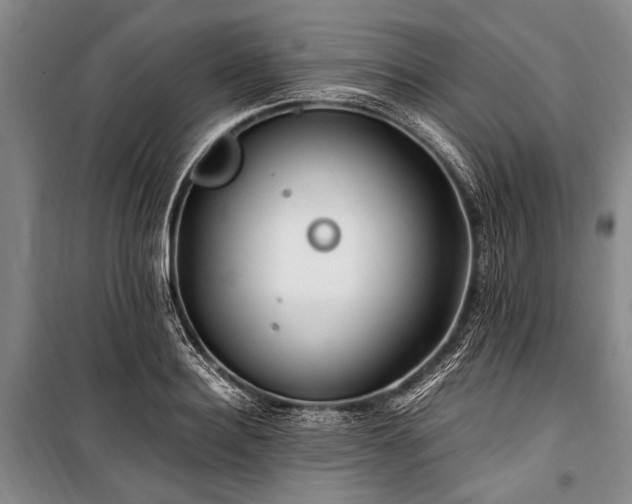 X0000101170940200806271031