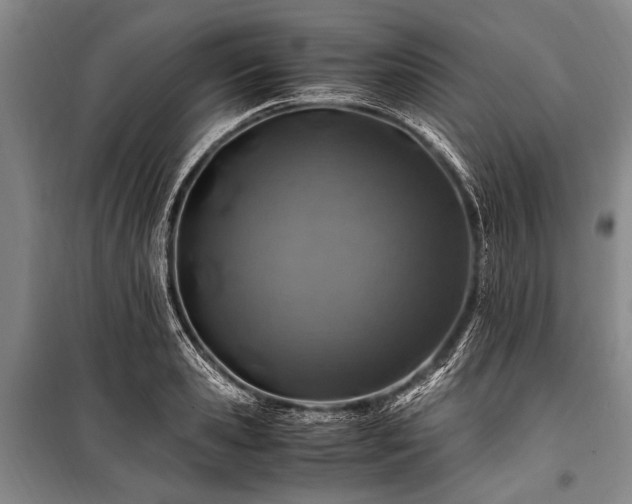 X0000101170941200806271031