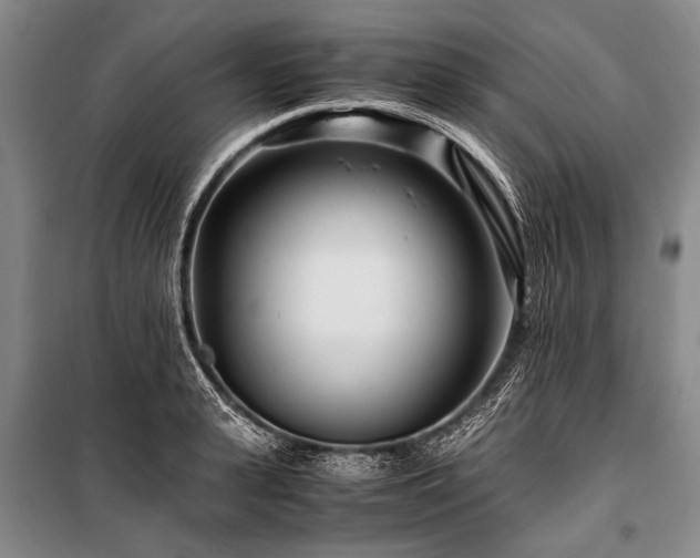 X0000101170943200806271031