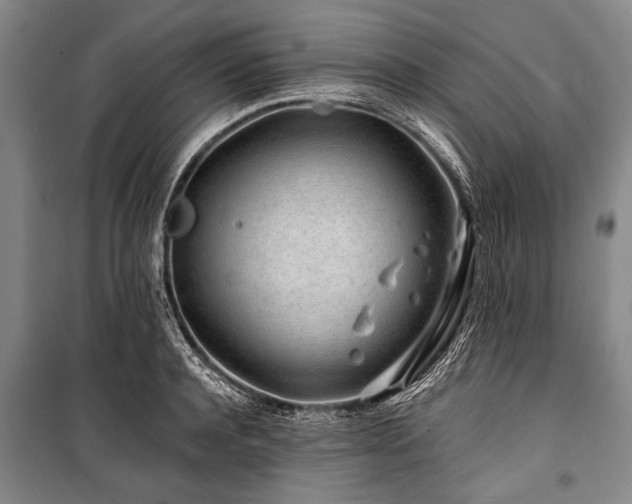 X0000101170944200806271031