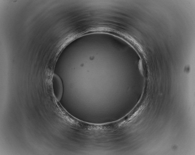X0000101170945200806271031