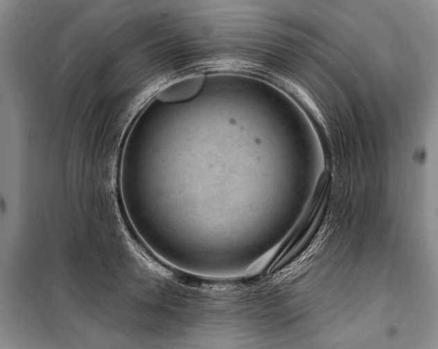 X0000101170946200806271031