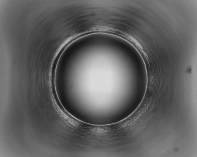 X0000101170947200806271031