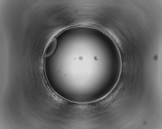 X0000101170948200806271031