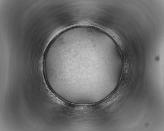 X0000101170950200806271031