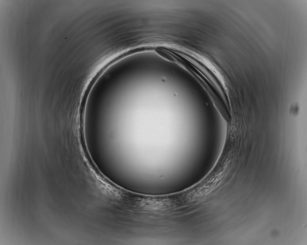 X0000101170951200806271031