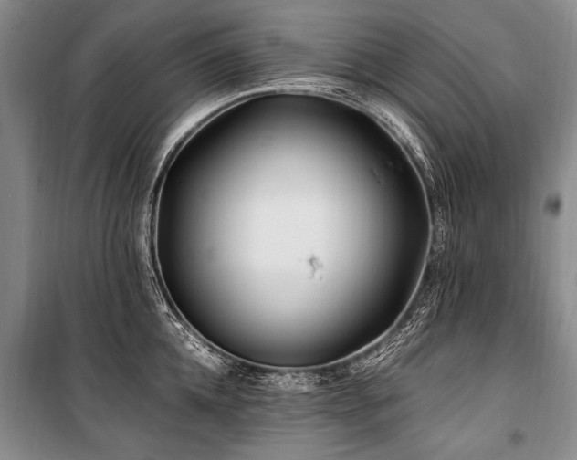 X0000101170952200806271031