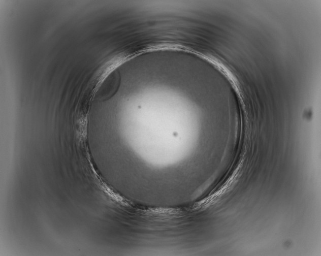 X0000101170953200806271031