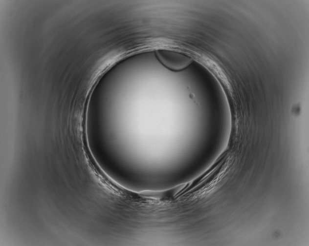 X0000101170954200806271031