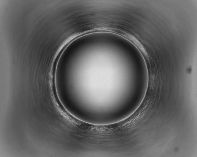X0000101170955200806271031