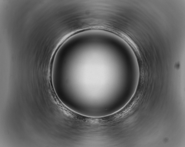 X0000101170956200806271031