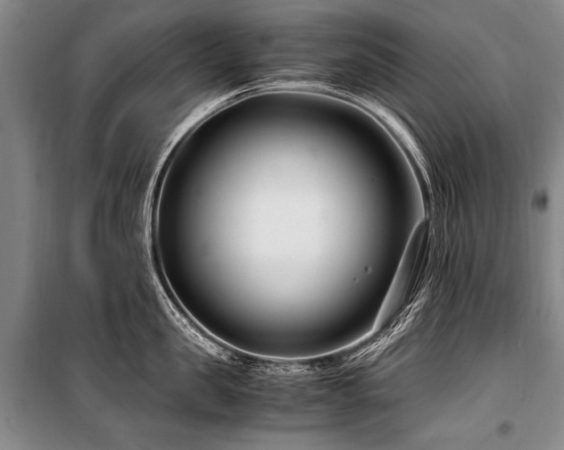 X0000101170957200806271031