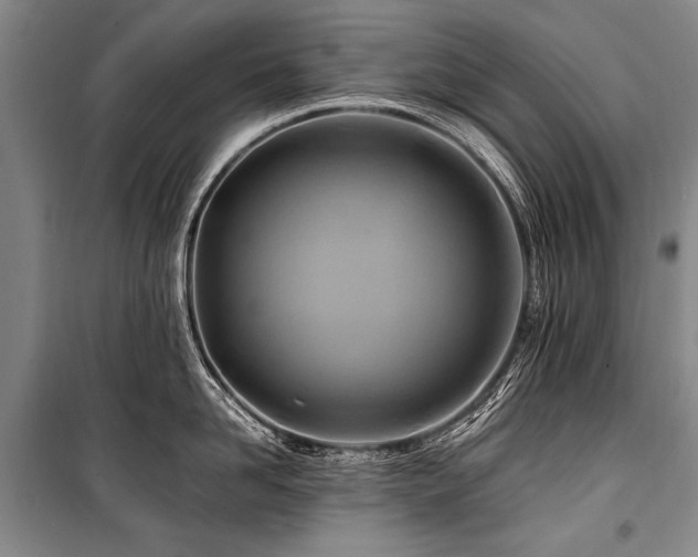 X0000101170958200806271031