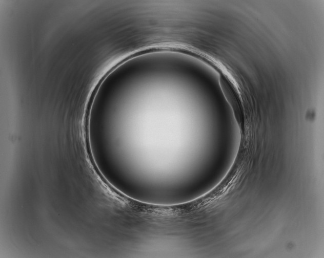 X0000101170959200806271031