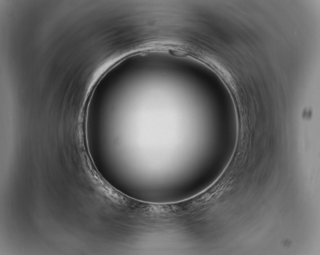 X0000101170960200806271031