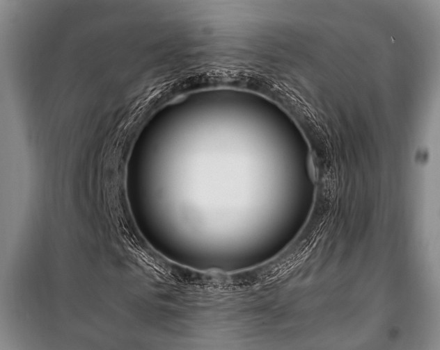 X0000101170961200806271030