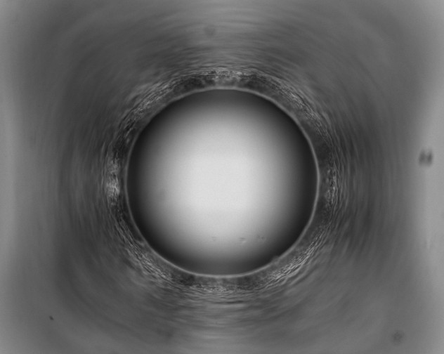 X0000101170962200806271030