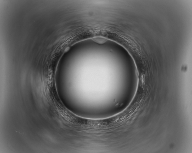 X0000101170963200806271030