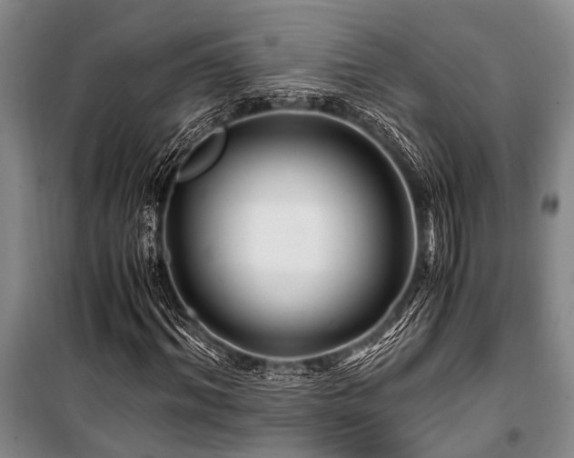 X0000101170964200806271030