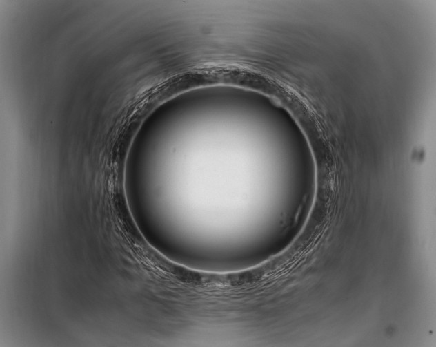 X0000101170965200806271030