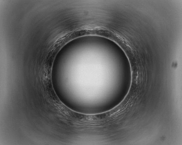 X0000101170966200806271030
