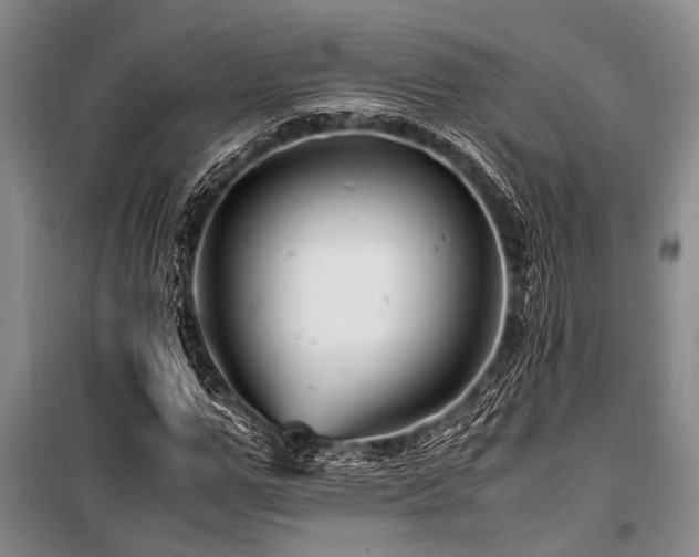 X0000101170967200806271030