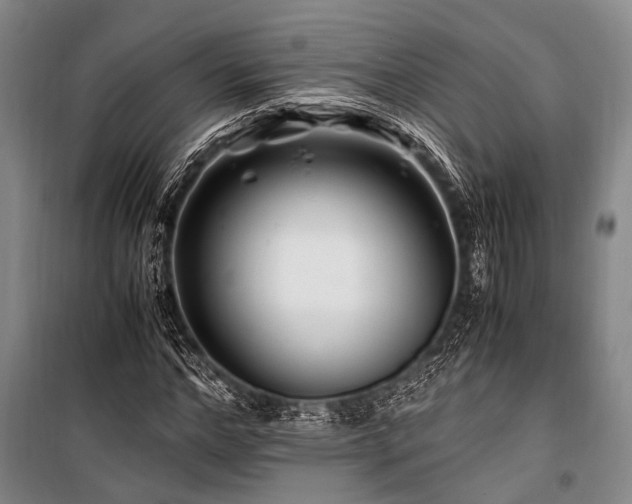 X0000101170968200806271030