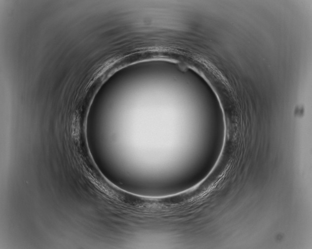 X0000101170969200806271030