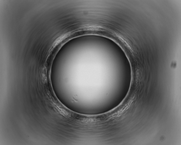 X0000101170970200806271030