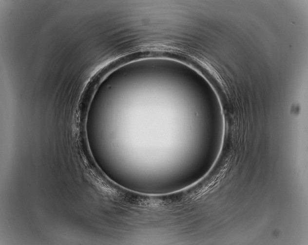 X0000101170971200806271030