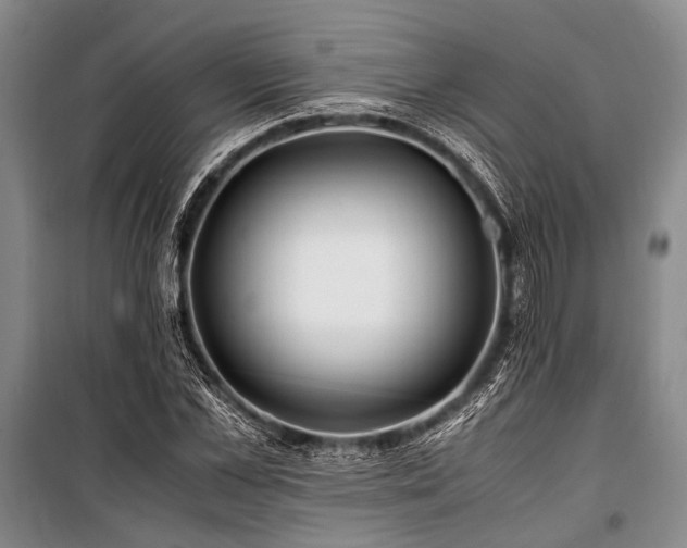 X0000101170973200806271030