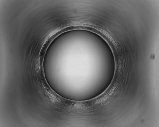 X0000101170974200806271030