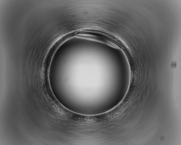 X0000101170975200806271030