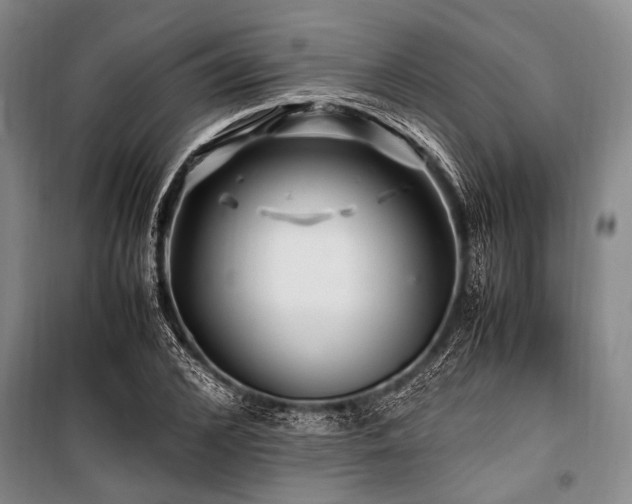 X0000101170976200806271030